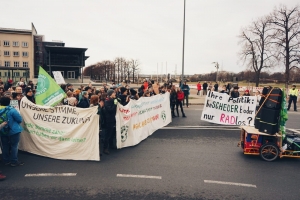 1 Jahr FFF Dresden