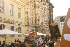 #allefürsklima