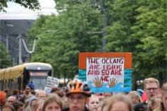 05.07.2019