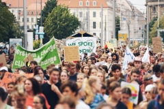 #sachsenzeigtfarbe